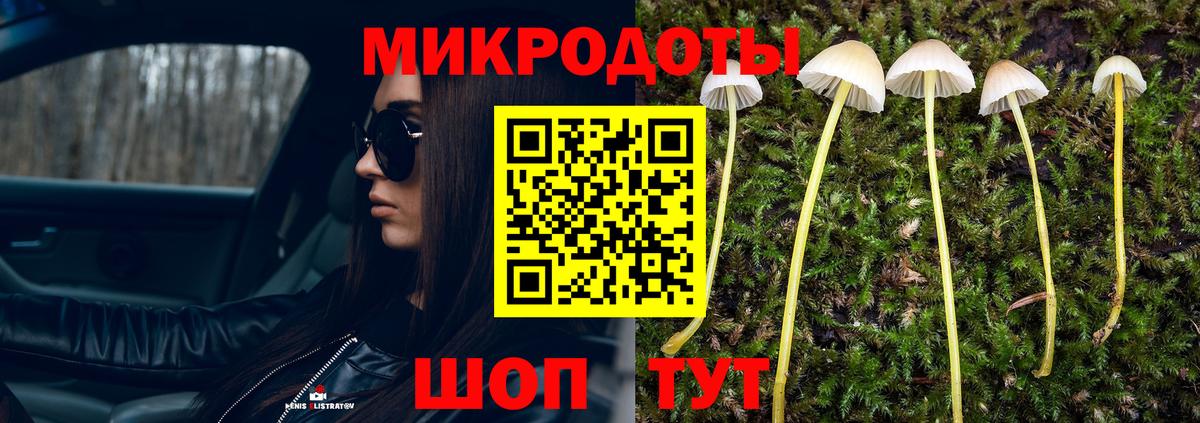 Псилоцибиновые грибы GOLDEN TEACHER Артёмовский